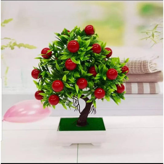 Beautiful Fruit Bonsai Tree for Home Decor